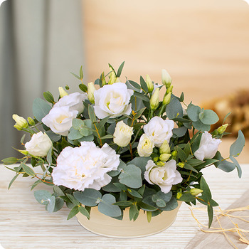 Composición Nácar — flores blancas