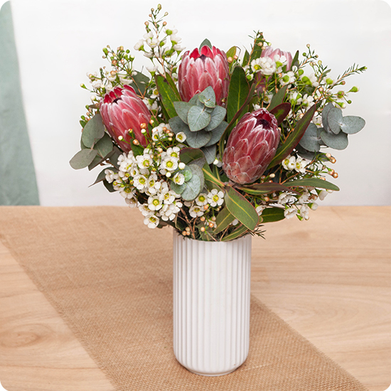 Ramo Evasión — proteas exóticas 1