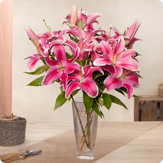 Ramo de lirios rosas perfumado 1
