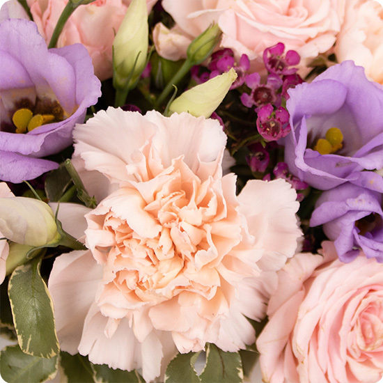 Arreglo Mélia — rosas rosas y lisianthus violetas 3