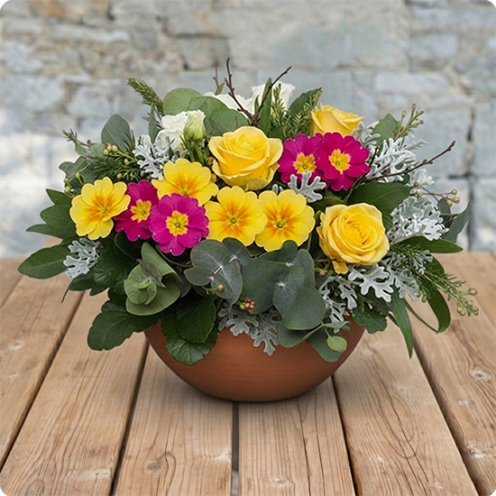 Coupe de plantes Promesse de Printemps 1