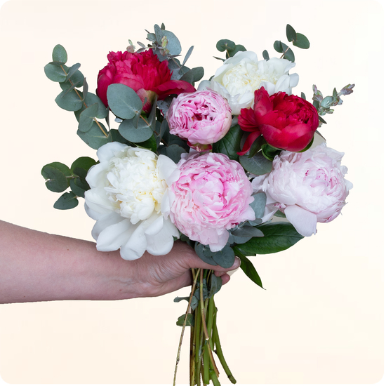 Ramo Paleta de peonías — rosas y blancas 1